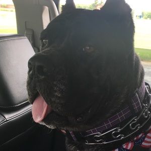 Meet your Posher, Cloyd